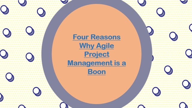 Reason for Agile Project Management